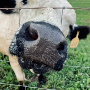 Meet your Posher, Ky